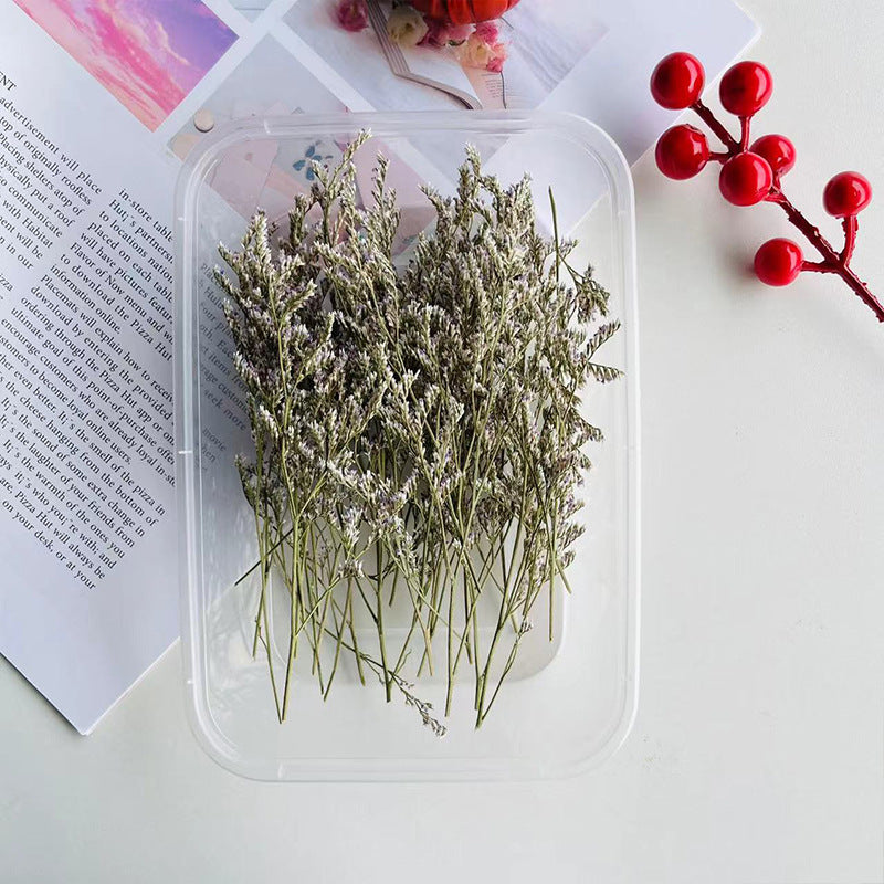 Wholesale Dried Fruit Cinnamon Dried Flowers Diy Material Package Natural Plant Candle Handmade Plaster Making Decoration